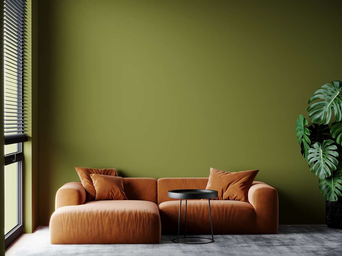 Simple Olive Green Living Room