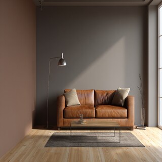 Vibrant Brown and Grey Wall Colour Combination for Living Room with Leather Sofa and Metal Lamp